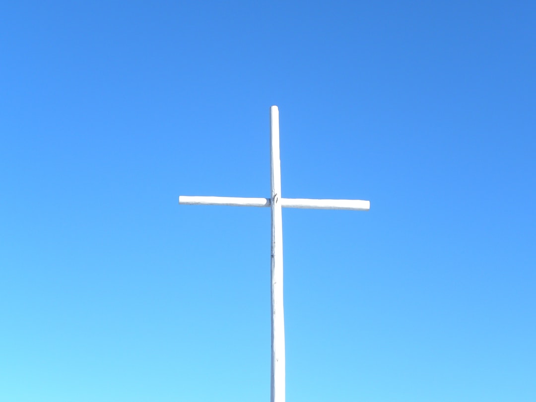 promorush-bulkweb-io_